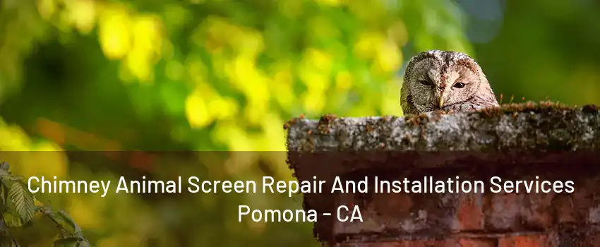Chimney Animal Screen Repair And Installation Services Pomona - CA
