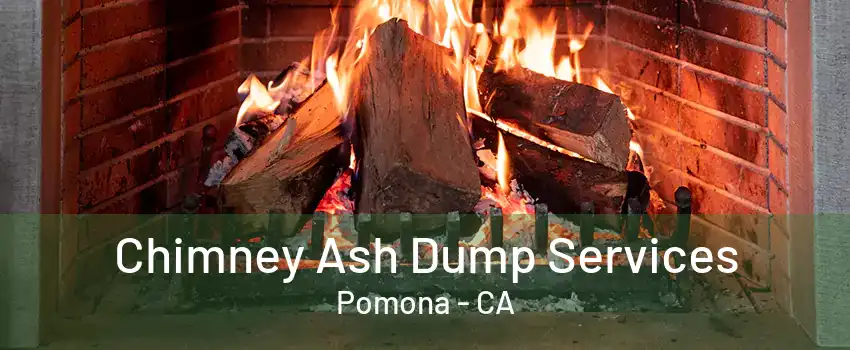Chimney Ash Dump Services Pomona - CA