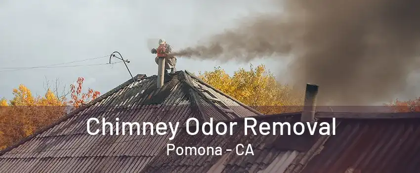Chimney Odor Removal Pomona - CA