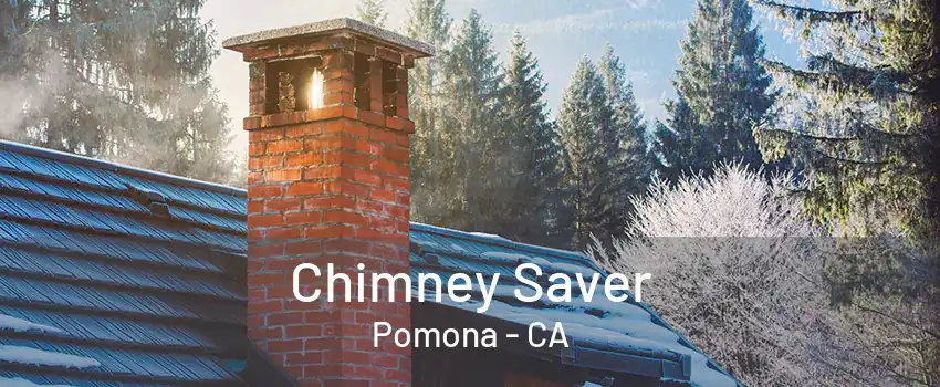 Chimney Saver Pomona - CA
