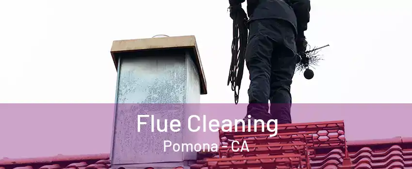Flue Cleaning Pomona - CA