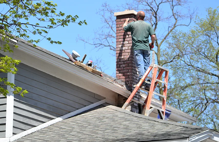 Chimney & Fireplace Inspections Services in Pomona