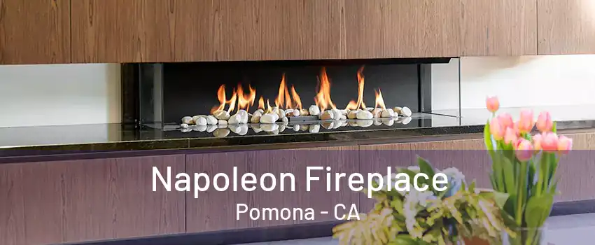 Napoleon Fireplace Pomona - CA